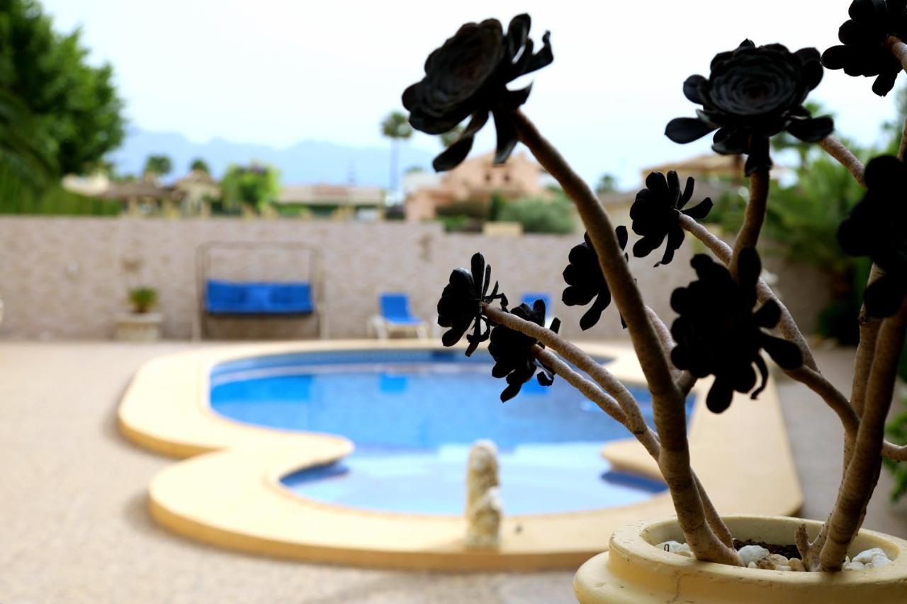 Villa Tres Palmeras En Alfaz Del Pi , Albir, Benidorm L'Alfàs del Pi Exterior photo